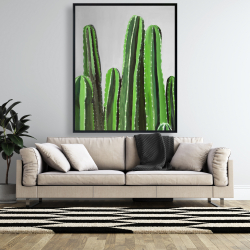 Encadré 48 x 60 - Cactus cierges