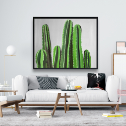 Encadré 48 x 60 - Cactus cierges