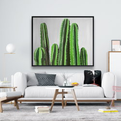 Encadré 48 x 60 - Cactus cierges