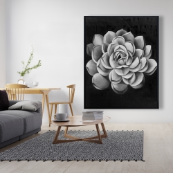 Framed 48 x 60 - Black and white succulent