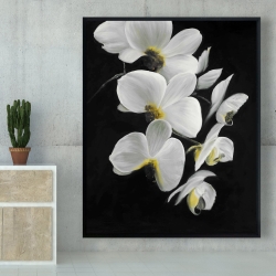 Framed 48 x 60 - Beautiful orchids