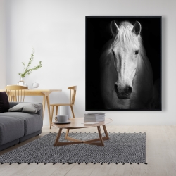 Framed 48 x 60 - Monochrome horse