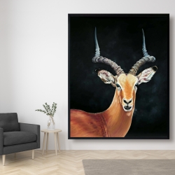 Encadré 48 x 60 - Antilope