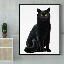 Framed 48 x 60 - Black cat