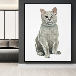 Framed 48 x 60 - British shorthair cat