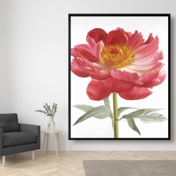 Framed 48 x 60 - Pink peony