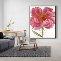 Encadré 48 x 60 - Fleur de pivoine rose