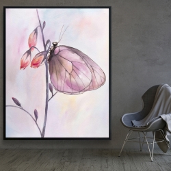 Encadré 48 x 60 - Papillon délicat