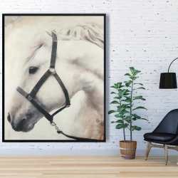 Encadré 48 x 60 - Darius le cheval blanc