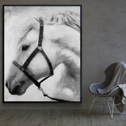 Framed 48 x 60 - Darius the horse