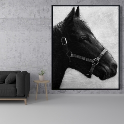 Framed 48 x 60 - Gallopin the horse