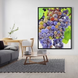 Encadré 48 x 60 - Bouquet de raisins