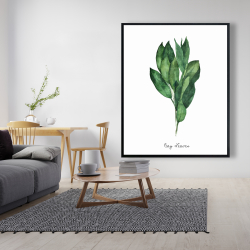 Framed 48 x 60 - Bay leaves bundle -en