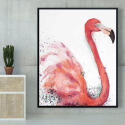 Encadré 48 x 60 - Flamant rose éclaboussant