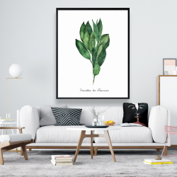 Framed 48 x 60 -  bay leaves bundle - fr