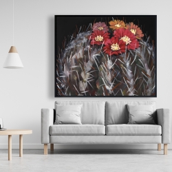 Encadré 48 x 60 - Cactus mammillaria en fleur