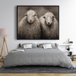 Framed 48 x 60 - Sheep sepia