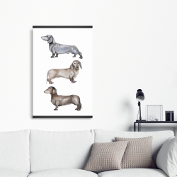 Magnétique 20 x 30 - Petits chiens teckel