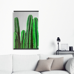 Magnétique 20 x 30 - Cactus cierges