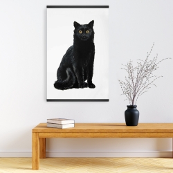 Magnetic 20 x 30 - Black cat