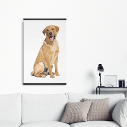 Magnetic 20 x 30 - Labrador retriever