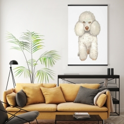 Magnetic 20 x 30 - French poodle