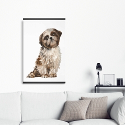 Magnetic 20 x 30 - Shih-tzu