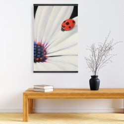 Magnétique 20 x 30 - Marguerite blanche et coccinelle