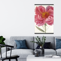 Magnétique 20 x 30 - Fleur de pivoine rose