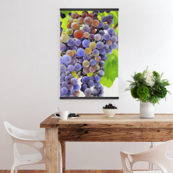 Magnétique 20 x 30 - Bouquet de raisins