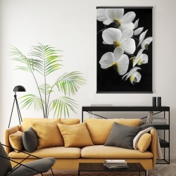 Magnetic 20 x 30 - Beautiful orchids