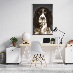 Magnetic 20 x 30 - Brown english springer spaniel