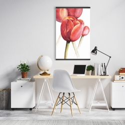 Magnetic 20 x 30 - Blossoming tulips closeup