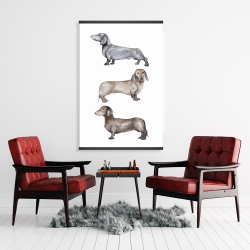 Magnétique 28 x 42 - Petits chiens teckel