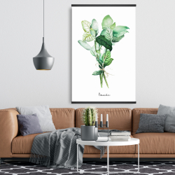 Magnetic 28 x 42 - Tied up basil leaves bundle - fr