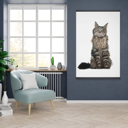 Magnetic 28 x 42 - Maine coon cat