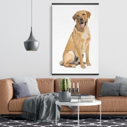 Magnetic 28 x 42 - Labrador retriever