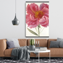 Magnétique 28 x 42 - Fleur de pivoine rose