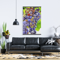 Magnétique 28 x 42 - Bouquet de raisins