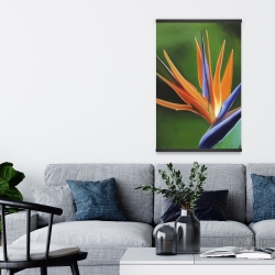 Magnétique 20 x 30 - Fleur oiseau de paradis