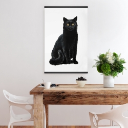 Magnetic 20 x 30 - Black cat