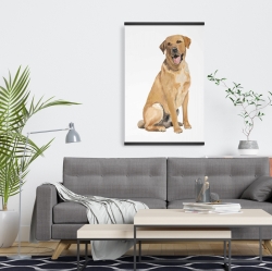 Magnetic 20 x 30 - Labrador retriever