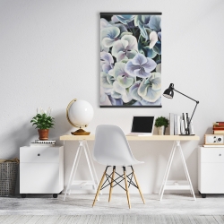 Magnétique 20 x 30 - Fleurs d'hortensia colorées