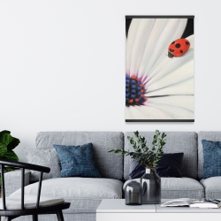 Magnétique 20 x 30 - Marguerite blanche et coccinelle