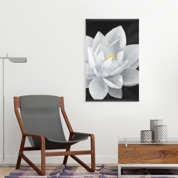 Magnétique 20 x 30 - Vue de haut d'une fleur de lotus