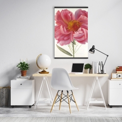 Magnétique 20 x 30 - Fleur de pivoine rose