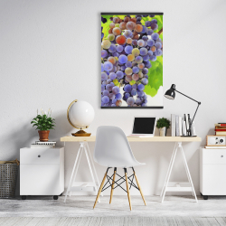 Magnétique 20 x 30 - Bouquet de raisins