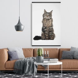 Magnetic 28 x 42 - Maine coon cat