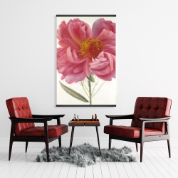 Magnétique 28 x 42 - Fleur de pivoine rose