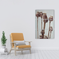 Canvas 24 x 36 - Sepia poppy head plants